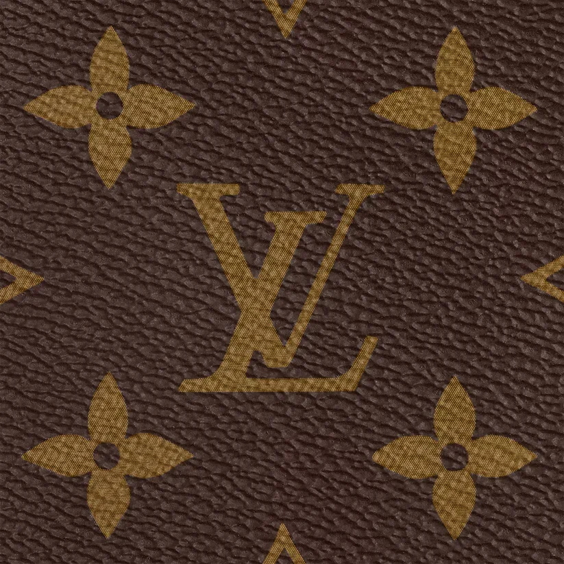 Speedy Bandoulière 25 Bag